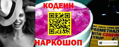 apvp Кингисепп
