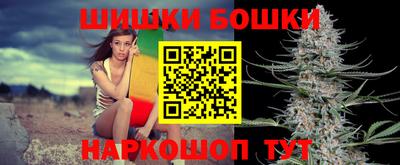 apvp Кингисепп