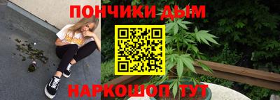 apvp Кингисепп