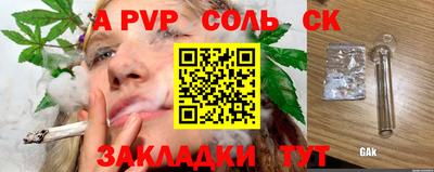 apvp Кингисепп