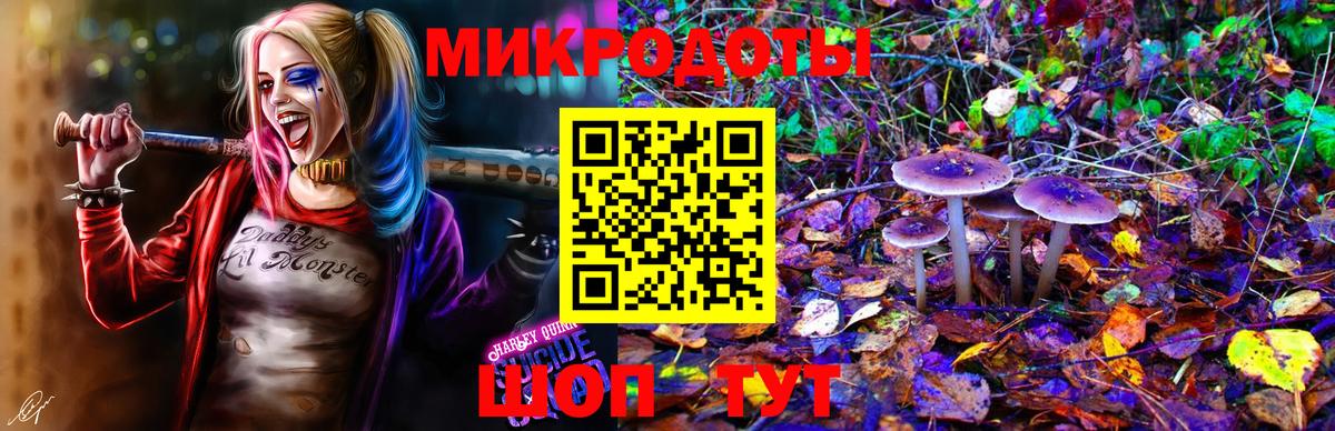 Псилоцибиновые грибы ЛСД  Галлюциногенные грибы Cubensis  Курчалой  Вход с VPN 