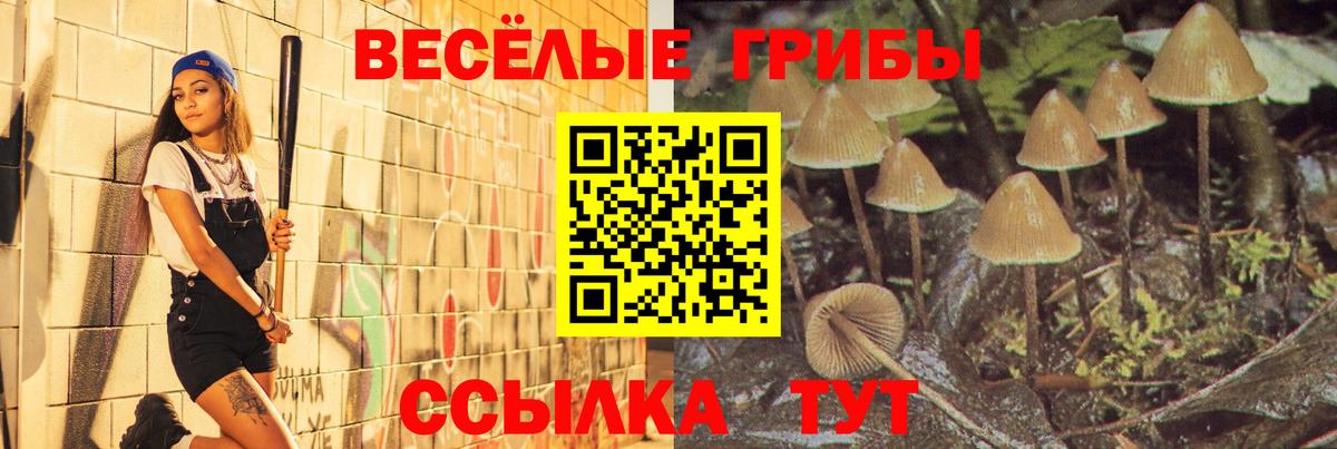 Галлюциногенные грибы MAGIC MUSHROOMS Курчалой