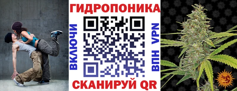 купить наркоту  Курчалой  Конопля White Widow 