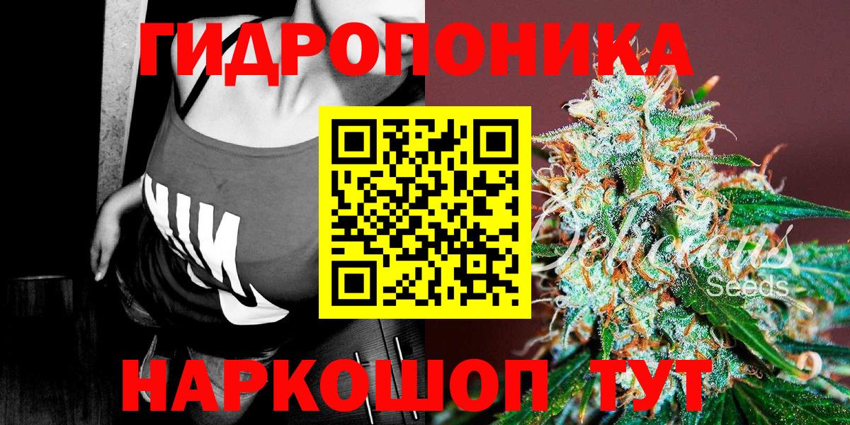 Шишки марихуана планчик  Вход с VPN  Бошки марихуана SATIVA & INDICA  Конопля тримм  Курчалой 